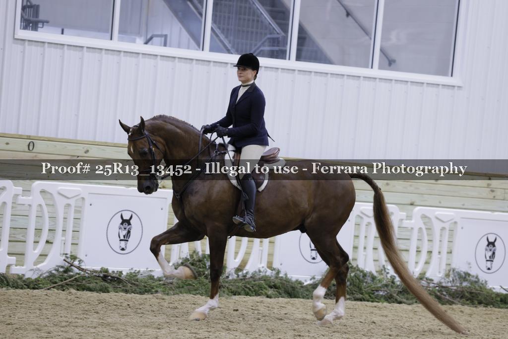 Proof 25R13_13452