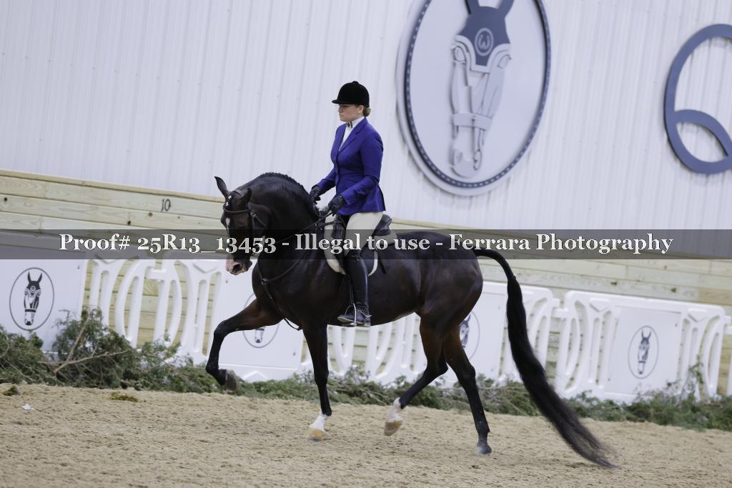 Proof 25R13_13453