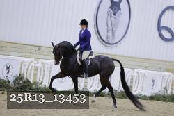 25R13_13453 proof