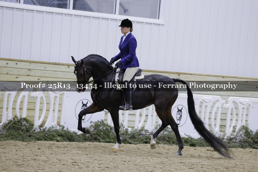 Proof 25R13_13454