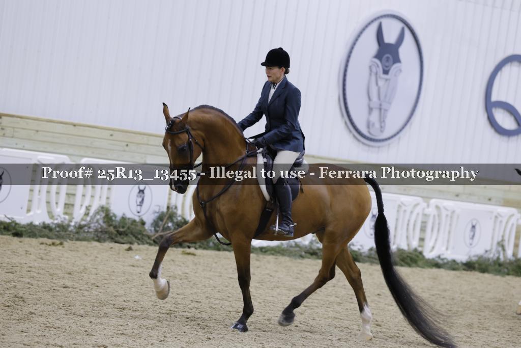 Proof 25R13_13455