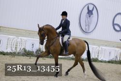 25R13_13455 proof