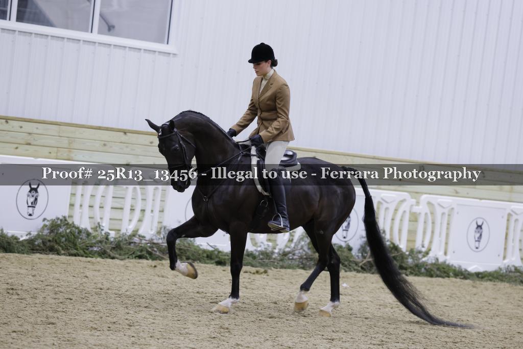 Proof 25R13_13456