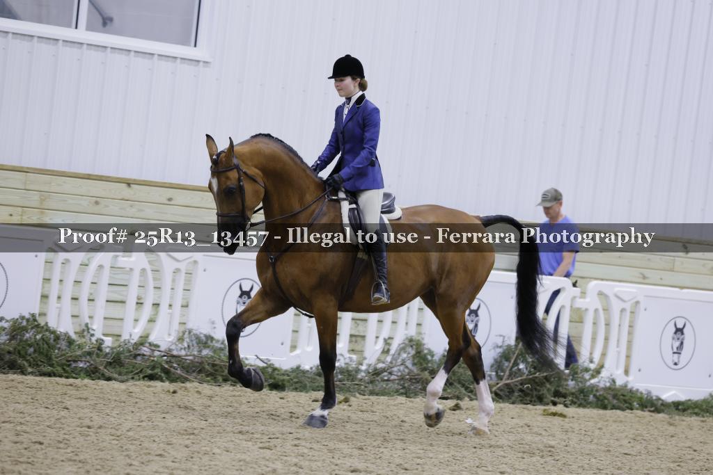 Proof 25R13_13457