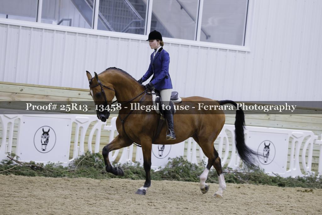 Proof 25R13_13458
