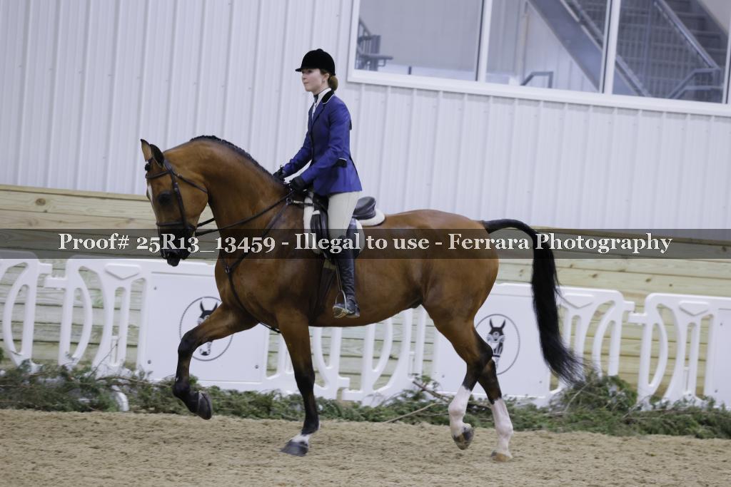 Proof 25R13_13459