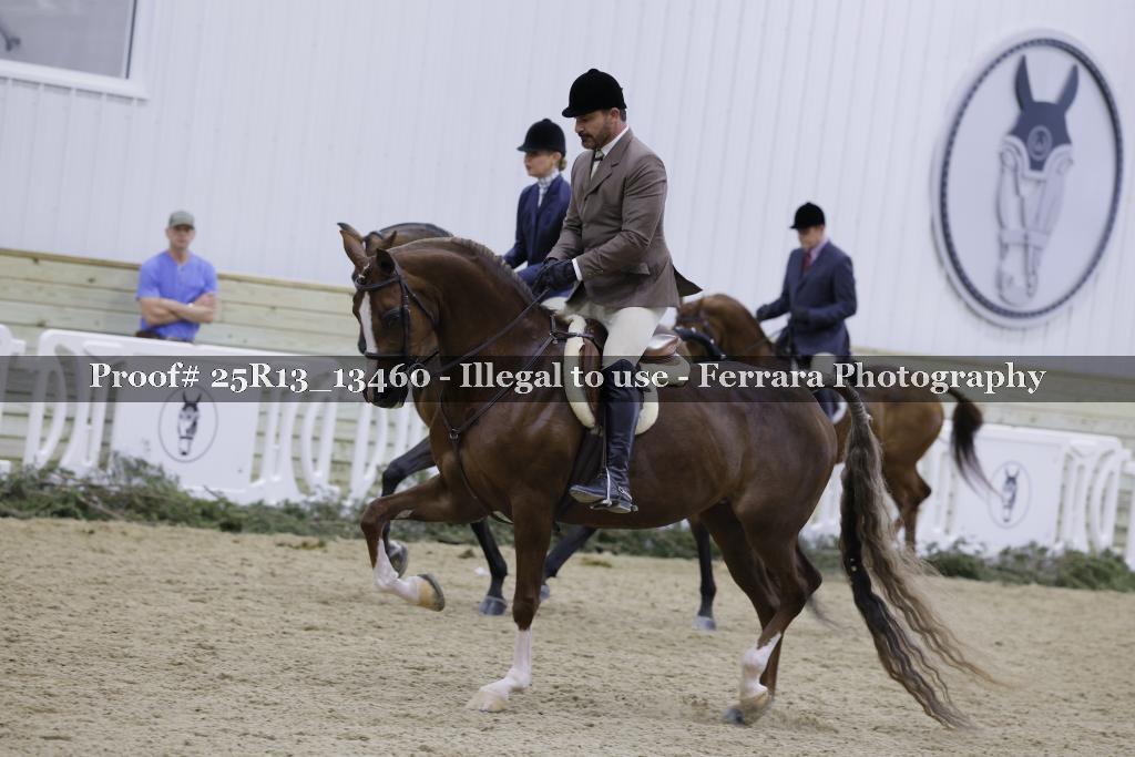 Proof 25R13_13460
