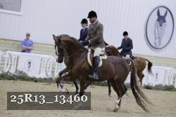 25R13_13460 proof
