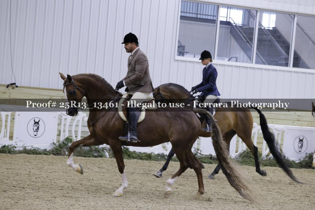Proof 25R13_13461