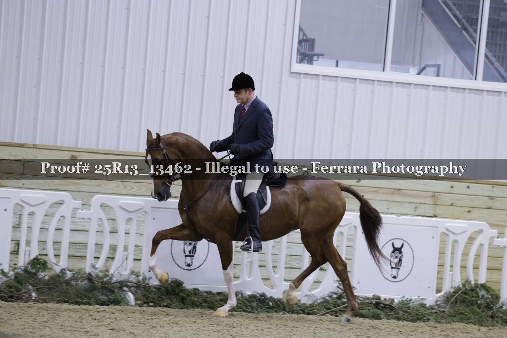 Proof 25R13_13462