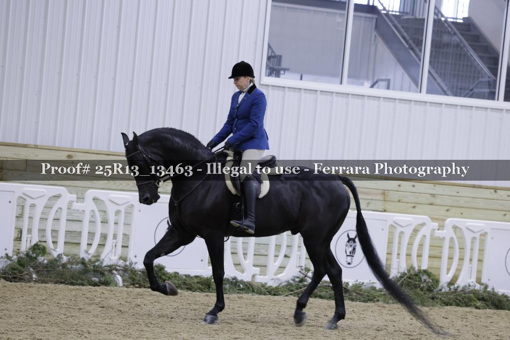 Proof 25R13_13463