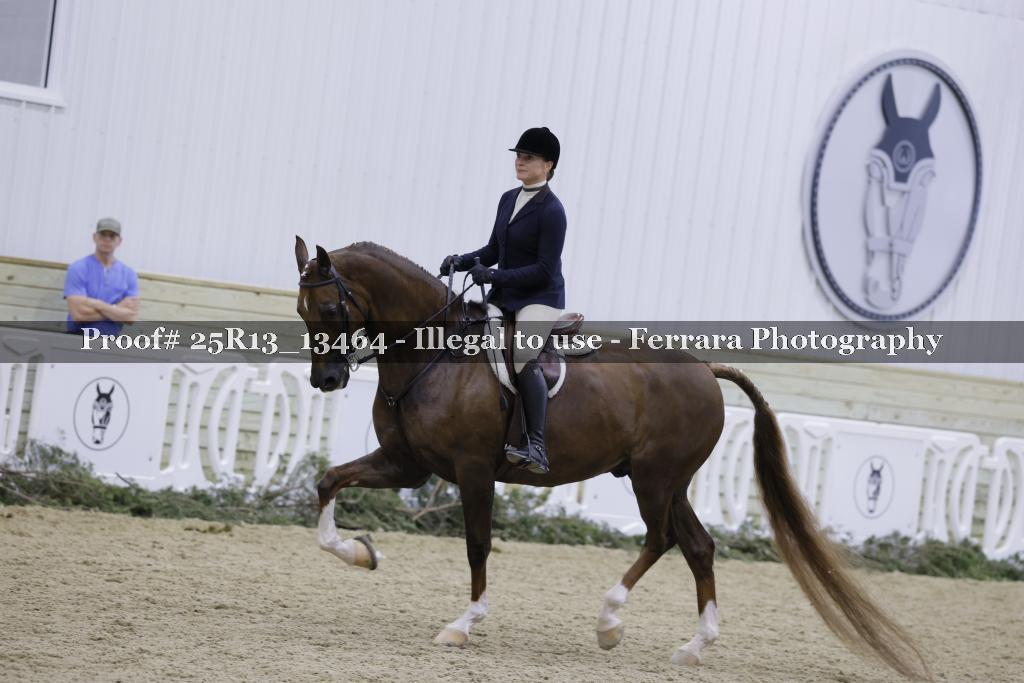 Proof 25R13_13464
