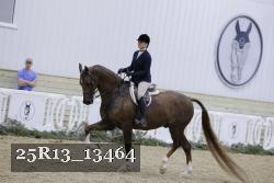 25R13_13464 proof