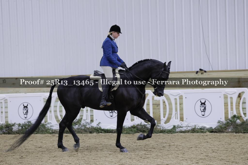 Proof 25R13_13465