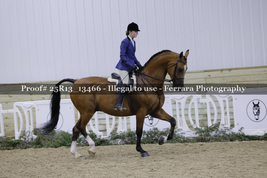 Proof 25R13_13466