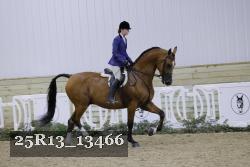 25R13_13466 proof