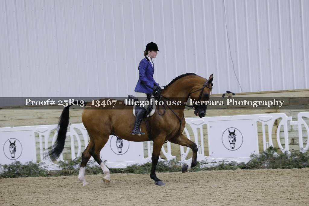 Proof 25R13_13467