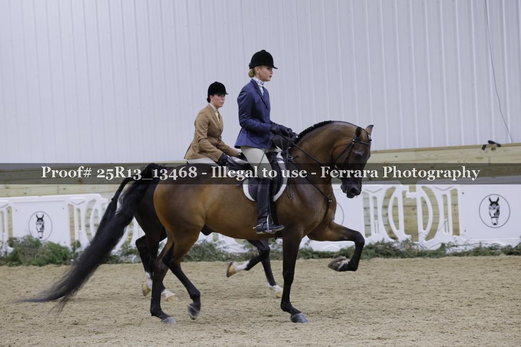 Proof 25R13_13468