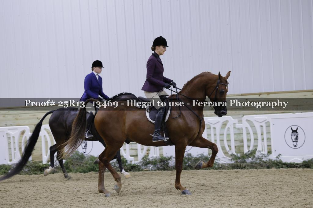 Proof 25R13_13469