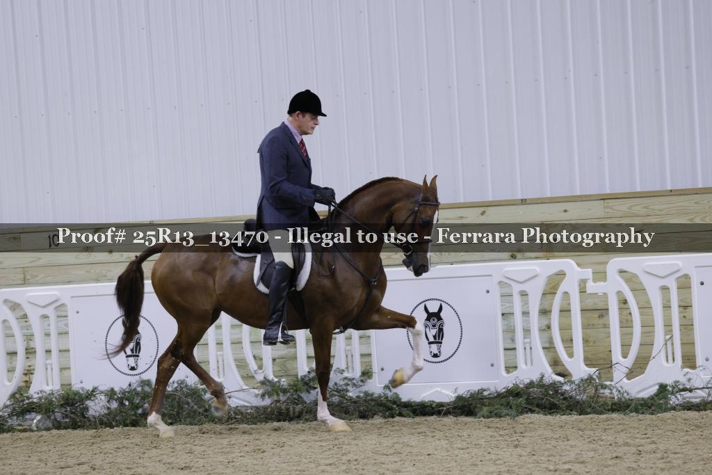 Proof 25R13_13470
