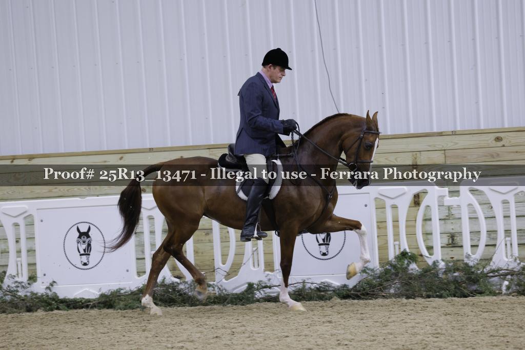 Proof 25R13_13471