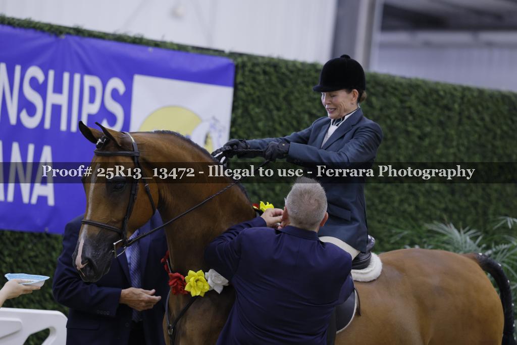 Proof 25R13_13472