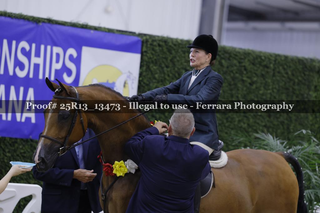 Proof 25R13_13473