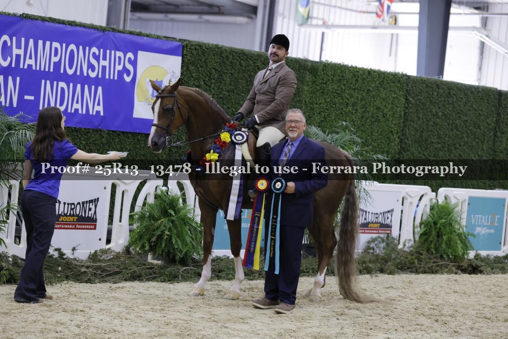 Proof 25R13_13478