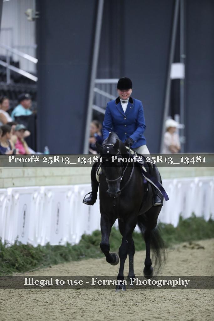 Proof 25R13_13481