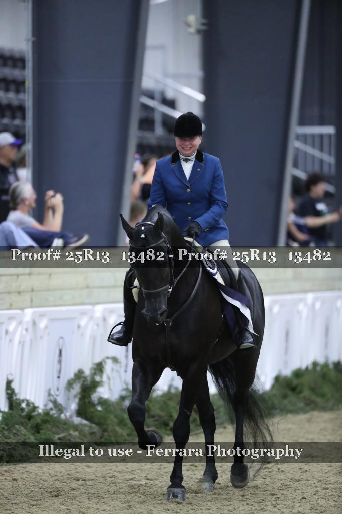 Proof 25R13_13482