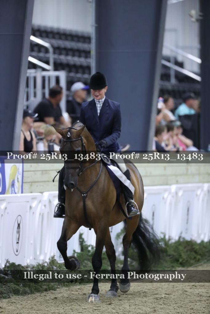 Proof 25R13_13483