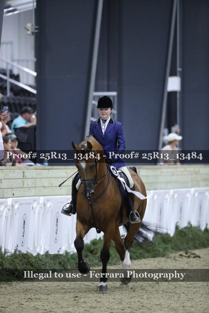Proof 25R13_13484