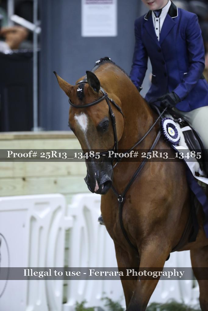 Proof 25R13_13485