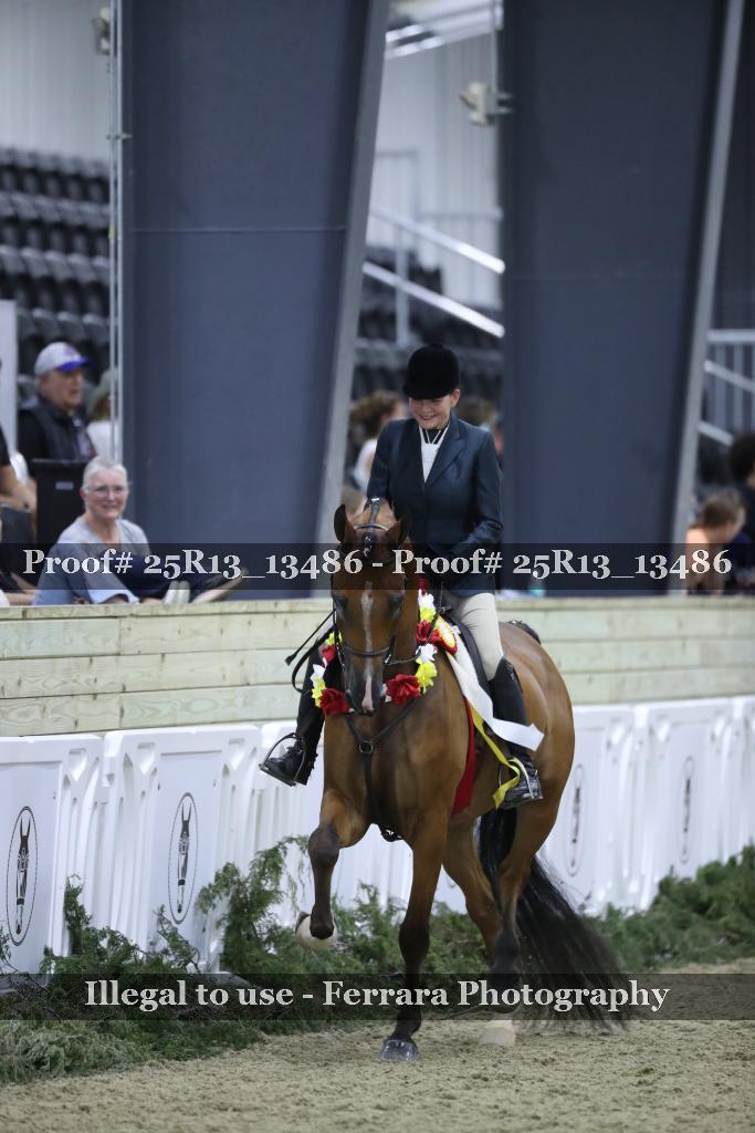 Proof 25R13_13486