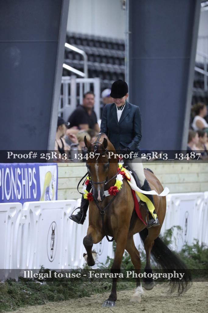 Proof 25R13_13487