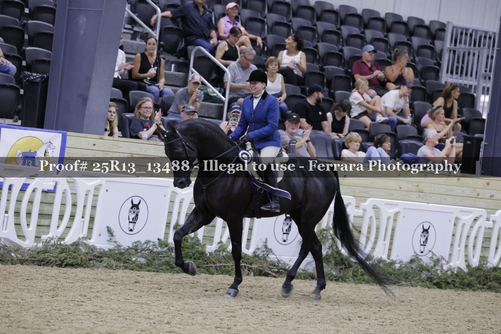 Proof 25R13_13488