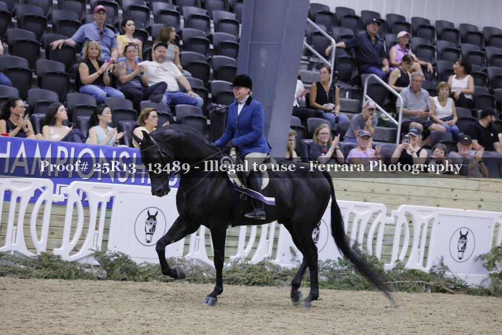 Proof 25R13_13489