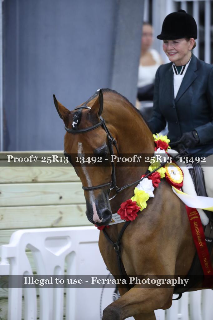 Proof 25R13_13492