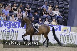25R13_13494 proof