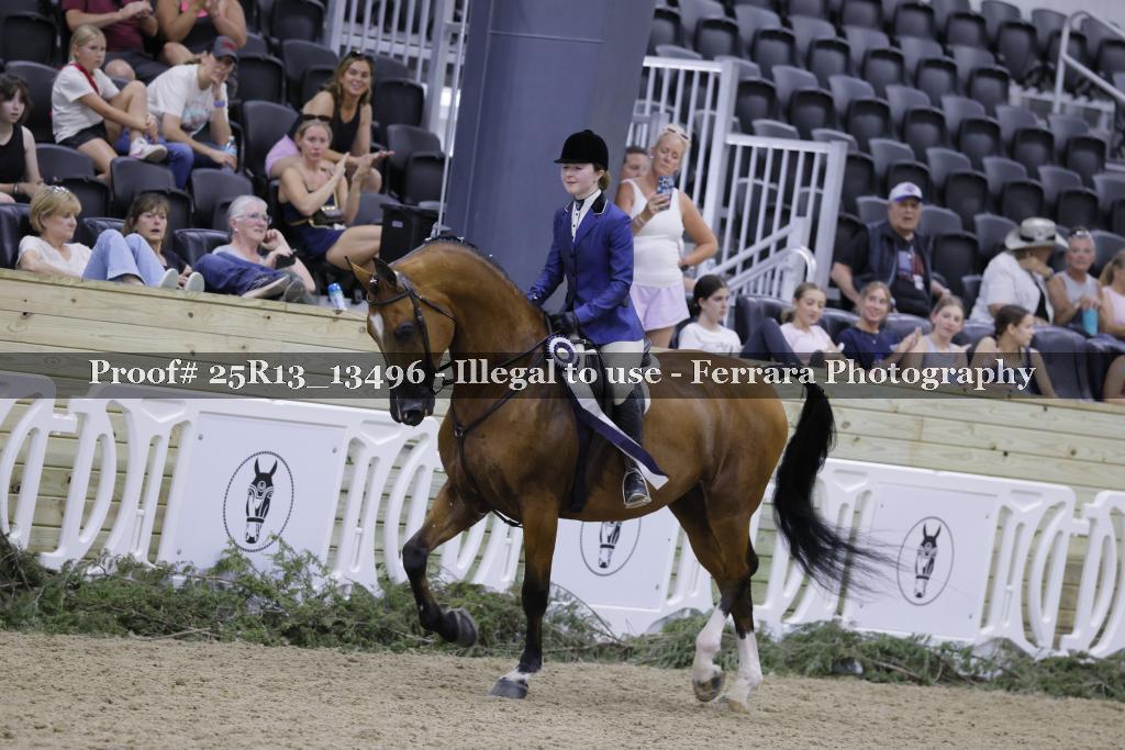 Proof 25R13_13496