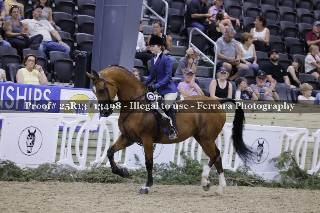 Proof 25R13_13498
