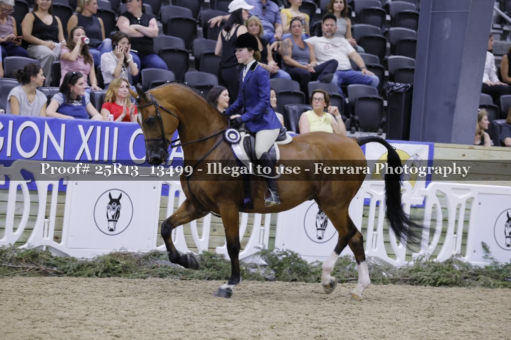 Proof 25R13_13499