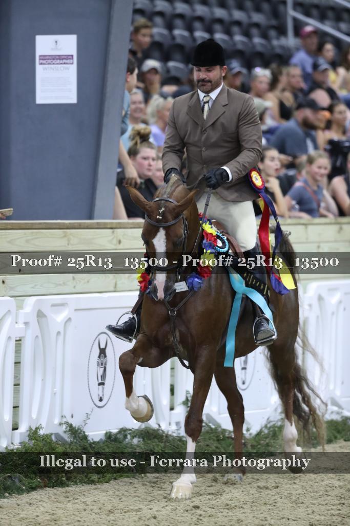 Proof 25R13_13500