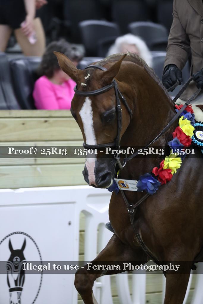 Proof 25R13_13501