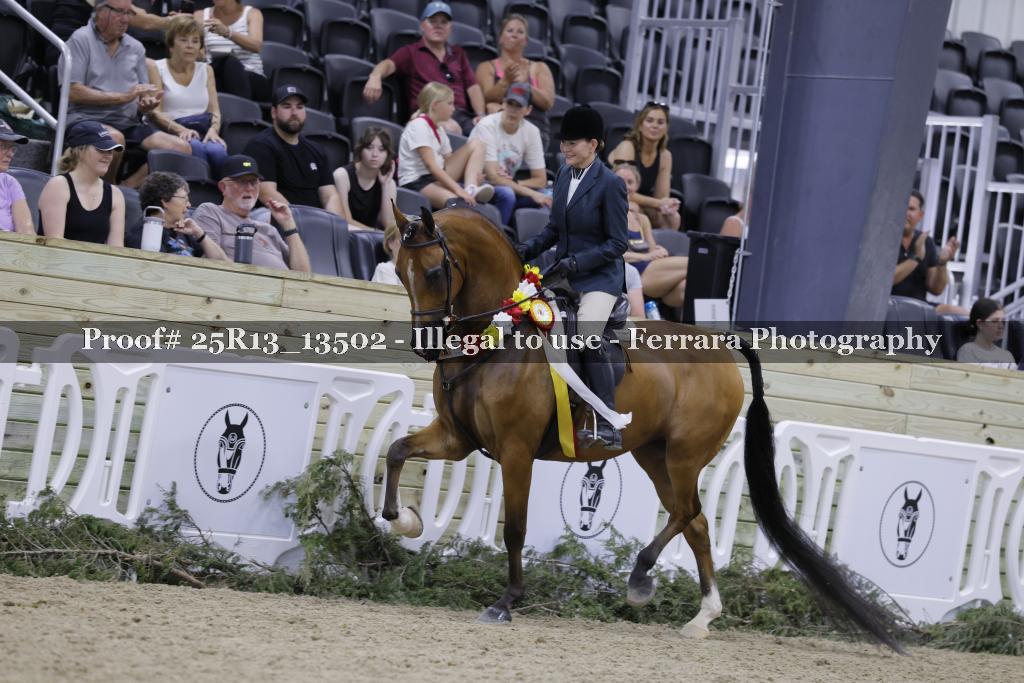 Proof 25R13_13502