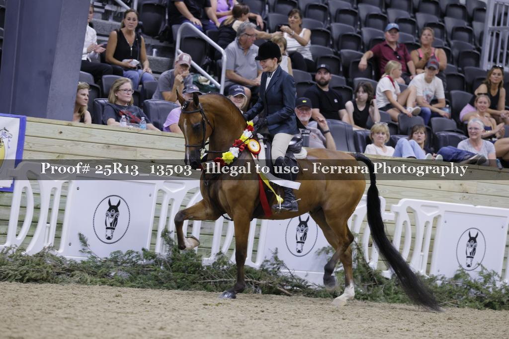 Proof 25R13_13503
