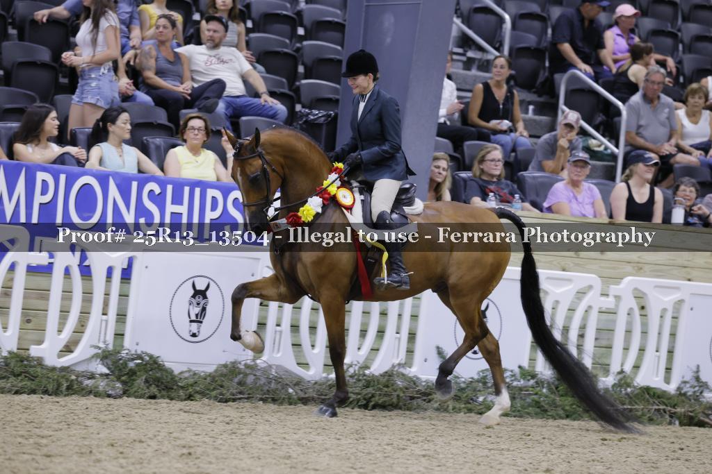 Proof 25R13_13504