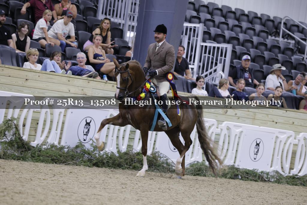 Proof 25R13_13508