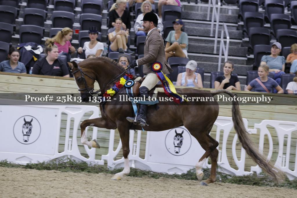 Proof 25R13_13512