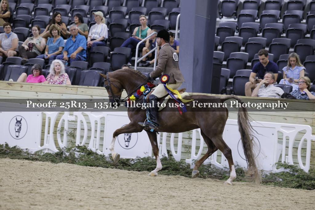 Proof 25R13_13513